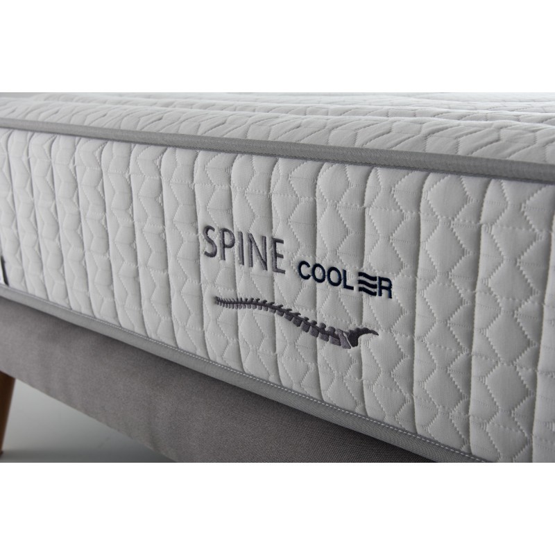 SPINE COOLER